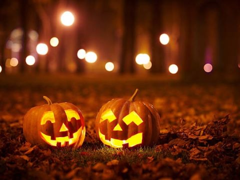 Halloween Kürbisse